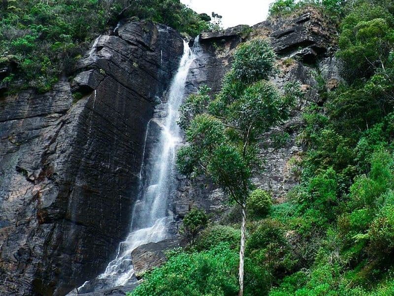 Lovers Leap Waterfall & Pidurutalagala Trail