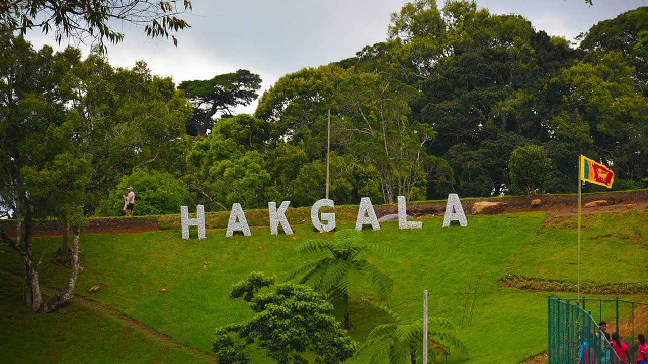Hakgala Botanical Gardens (Ashoka Vatika)