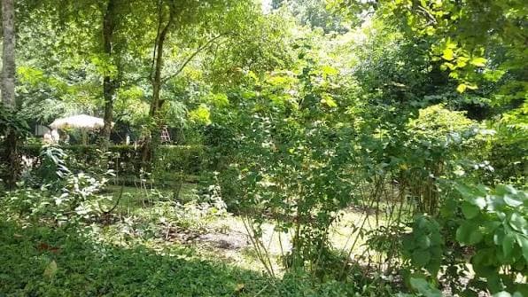 Pattipola Osu Uyana (Herbal Sanctuary)