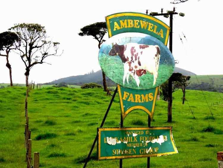 Ambewela Dairy Milk Lounge & Meadows
